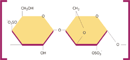 Estrutura química Carragena tipo Kappa